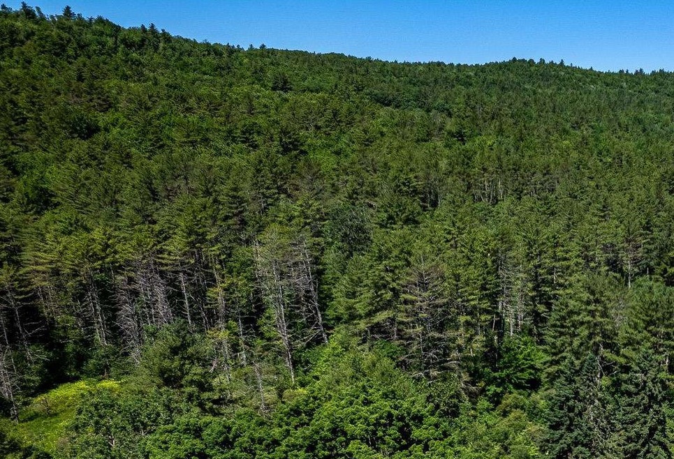 00 Cutler Rd, Plainfield, NH 03781 - photo 1