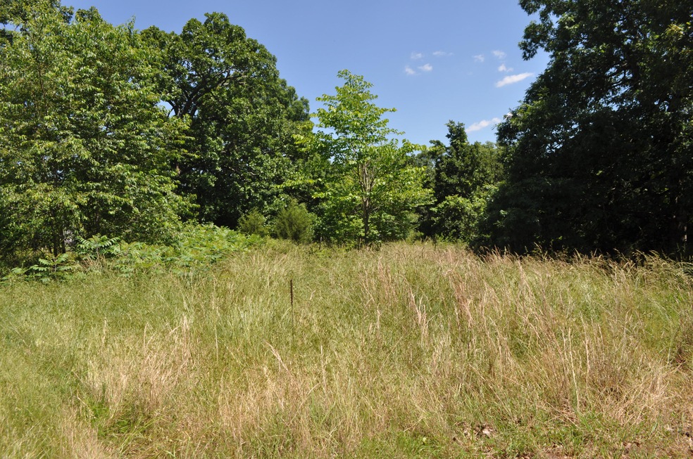 Tbd Farm Road 2085, Jenkins, MO 65605 - photo 1