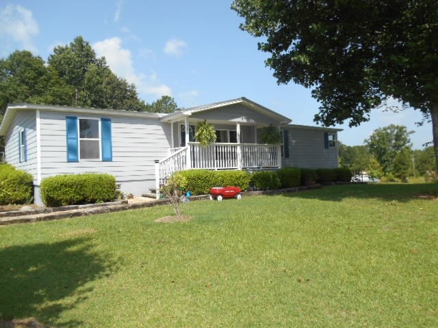 Main View
