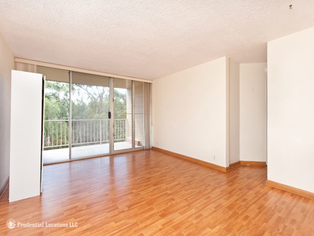Large living room with laminate flooring.