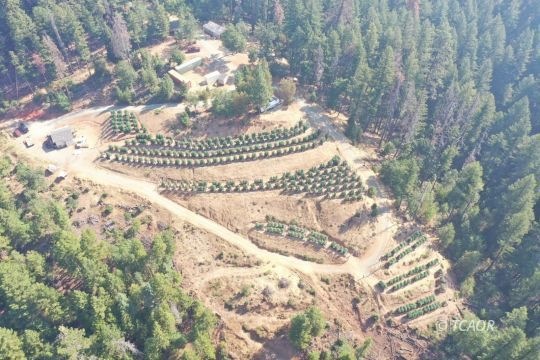Birds eye view
