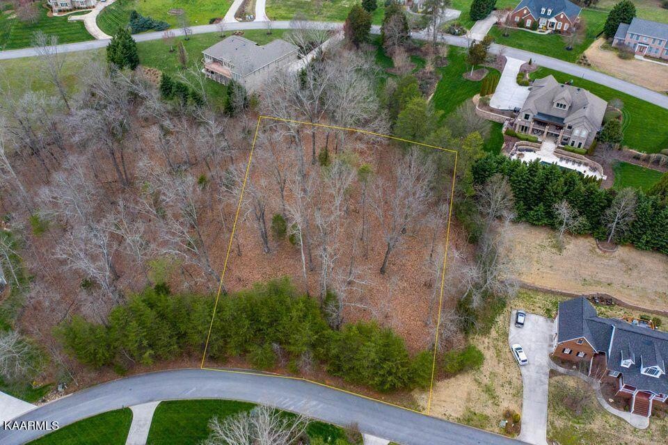 Lightly Wooded Lot