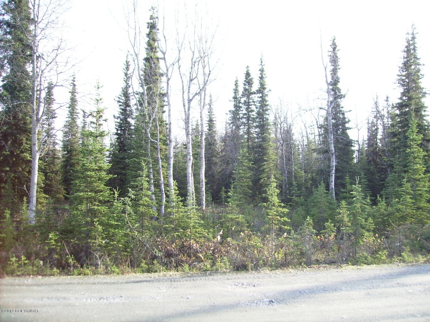 L38 Vesta Ct, Kasilof, AK 99610 - photo 1