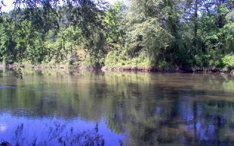 LOT 2 Moonshine Mountain Rd, Mineral Bluff, GA 30559 - photo 1