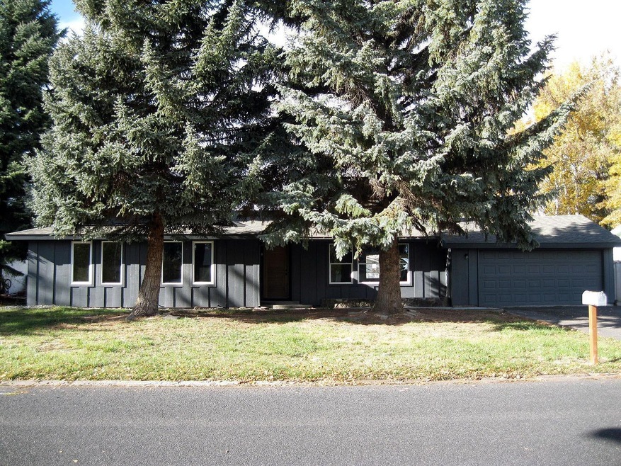 Primary Photo