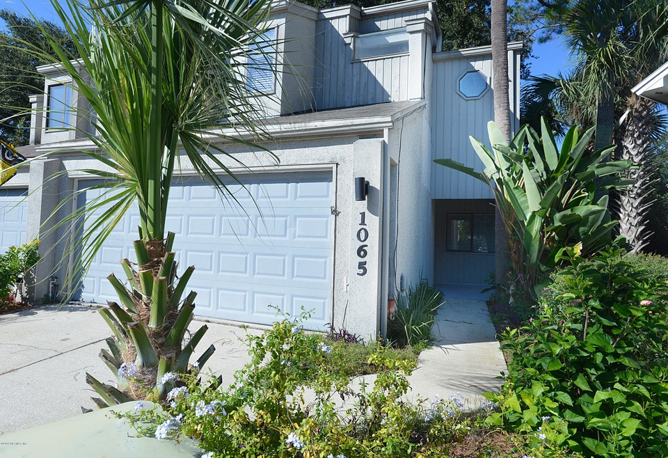 Front View