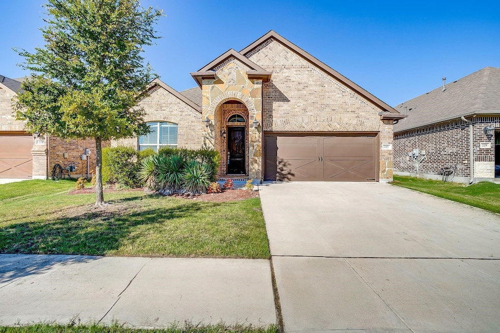 225 Palmerston Dr, Aledo, TX 76008 - photo 1