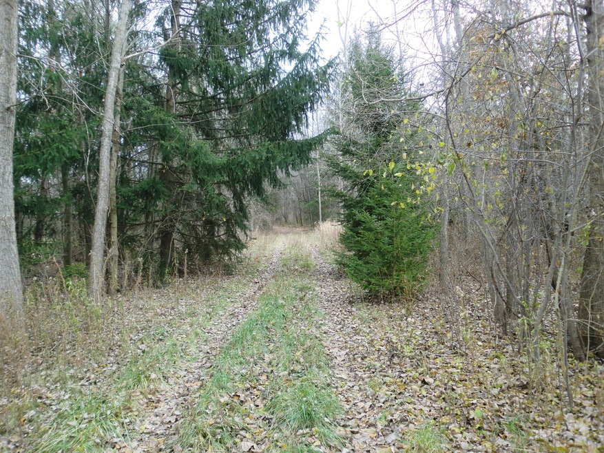 Driveway - East View