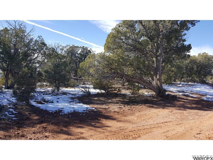 Lot 78 Big Black Mesa, Ash Fork, AZ 86320 - photo 1