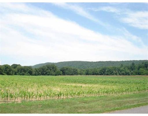 33 N Hillside Rd, South Deerfield, MA 01373 - photo 1