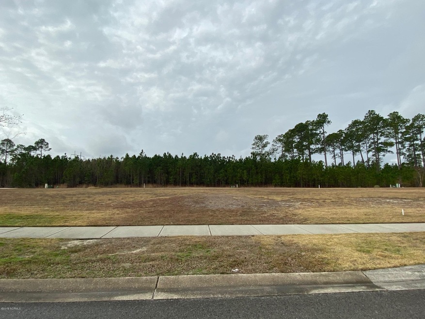 2029 Simmerman Way, Leland, NC 28451 - photo 1