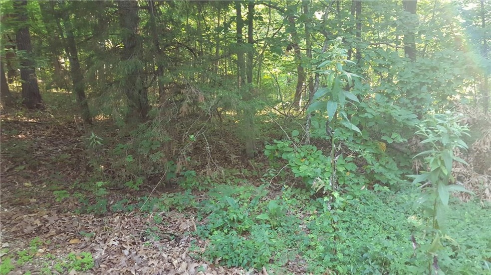 7 Pratt Ln, Bella Vista, AR 72715 - photo 1