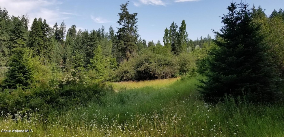 Sunnyside Acreage