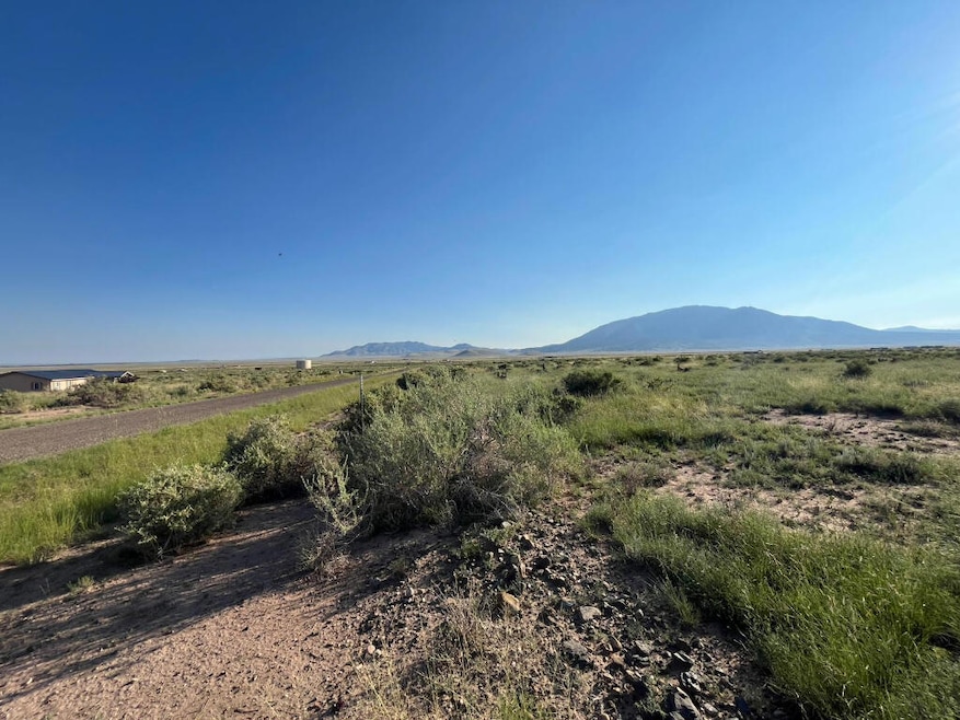107 Gopher Gulch Loop, Carrizozo, NM 88301 - photo 1