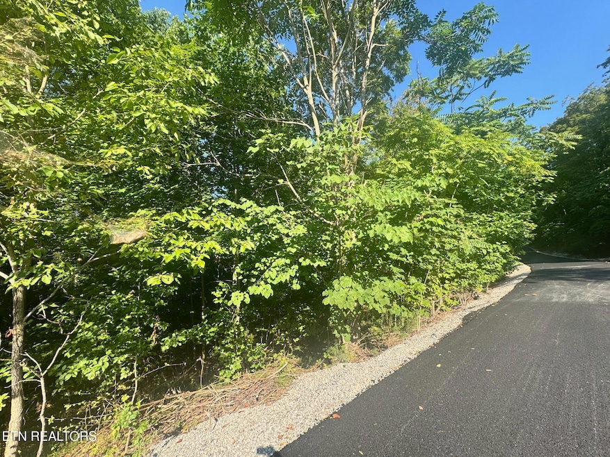 617 N, Allons, TN 38541 - photo 1