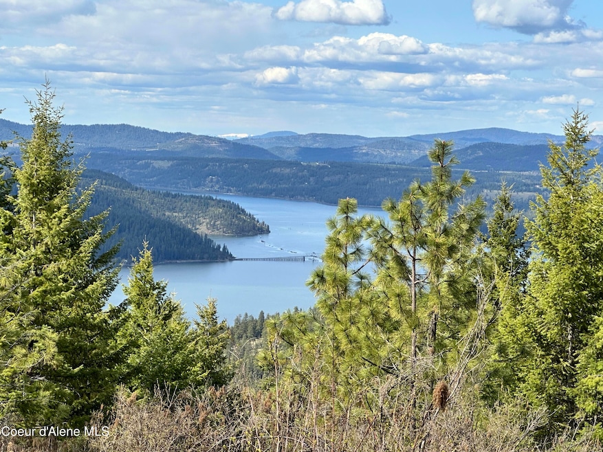 NKA 10 Acres, Plummer, ID 83851 - photo 1