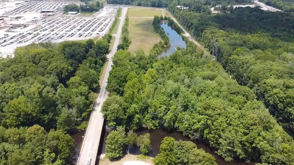 219 Cannon Bridge Rd, Orangeburg, SC 29115 - photo 1