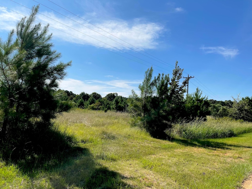 1041 Clint Williams Rd, Lincolnton, GA 30817 - photo 1