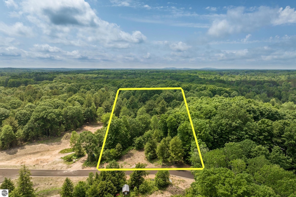 4735 Leaning Birch Dr unit 1, Traverse City, MI 49685 - photo 1