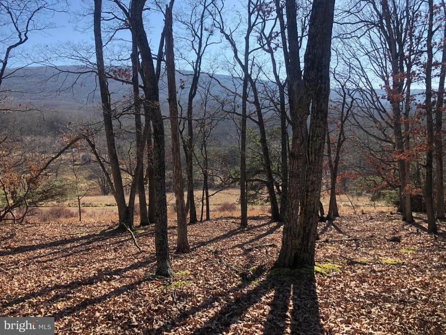 0 22 Meadow Hills unit WVHD2001440, Baker, WV 26801 - photo 1