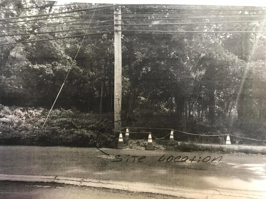 0 Minerva Ave unit 1134495, Staten Island, NY 10307 - photo 1