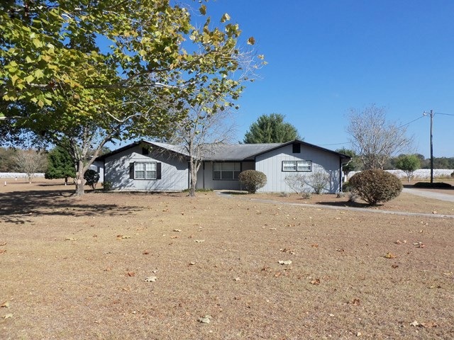 Main View