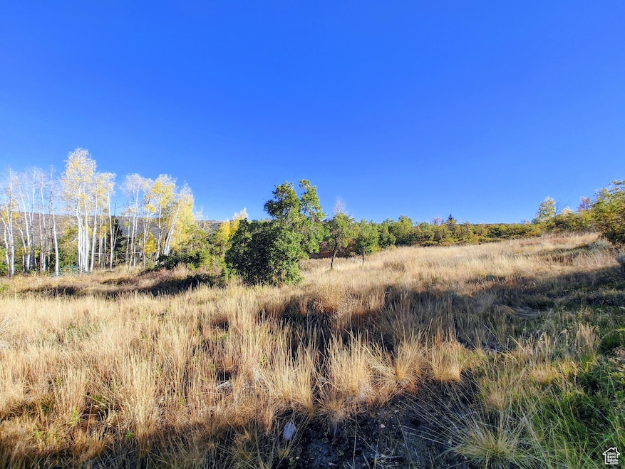 1813 S Greenleaf Rd unit 341, Heber City, UT 84032 - photo 1