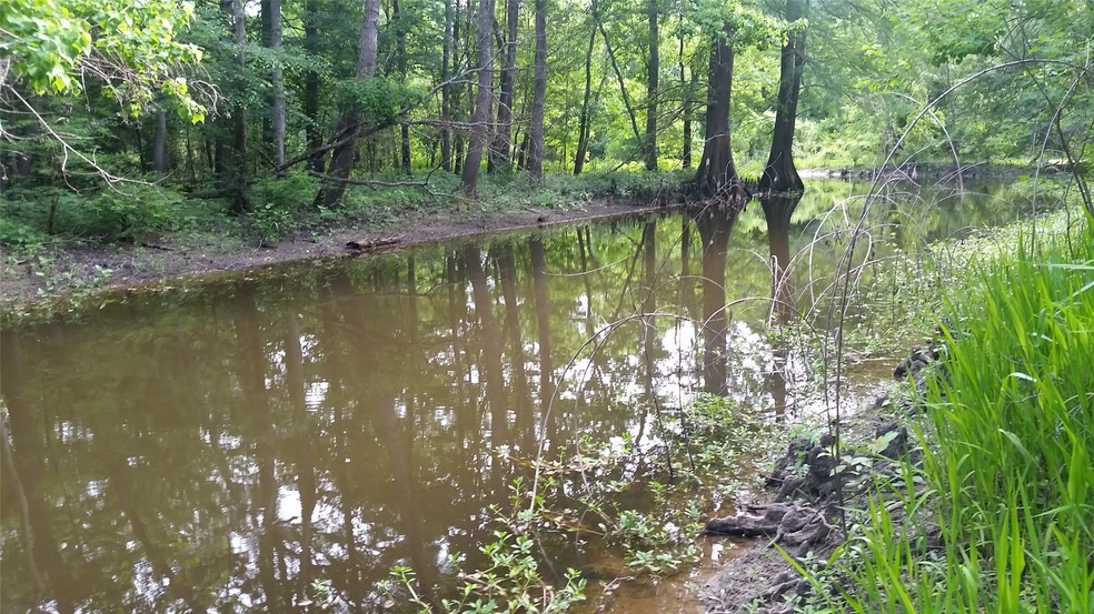 177 Hale Camp Rd, Doyline, LA 71023 - photo 1