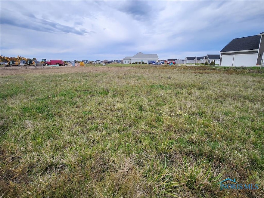 25216 John F McCarthy Way, Perrysburg, OH 43551 - photo 1