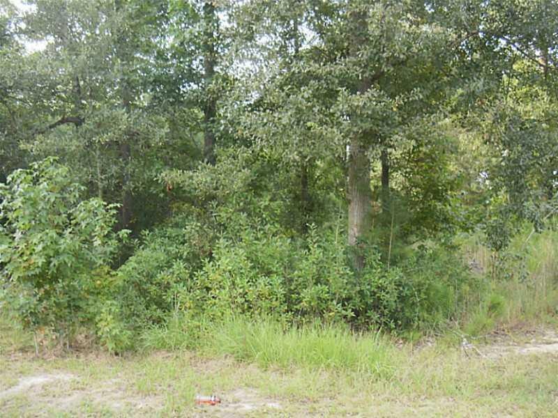 Photo. Wooded Lot Available!