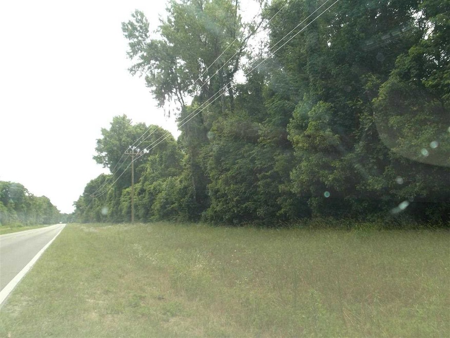 0 Dr Martin Luther King Rd unit x 246310, Crawfordville, FL 32327 - photo 1