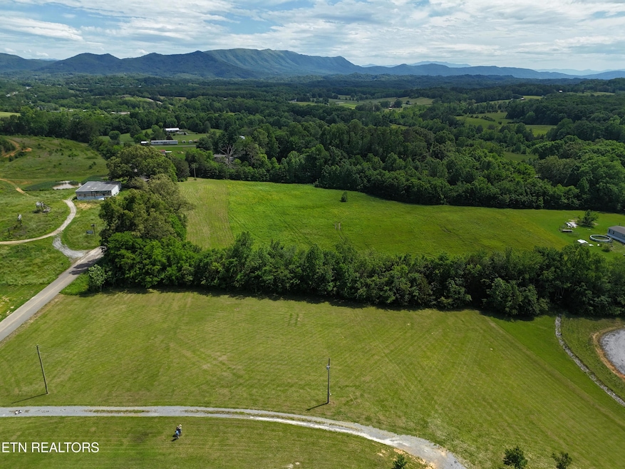 Drone view