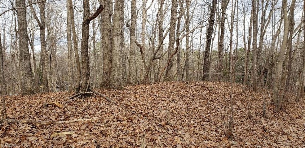 0 W Mine St, Asheboro, NC 27205 - photo 1