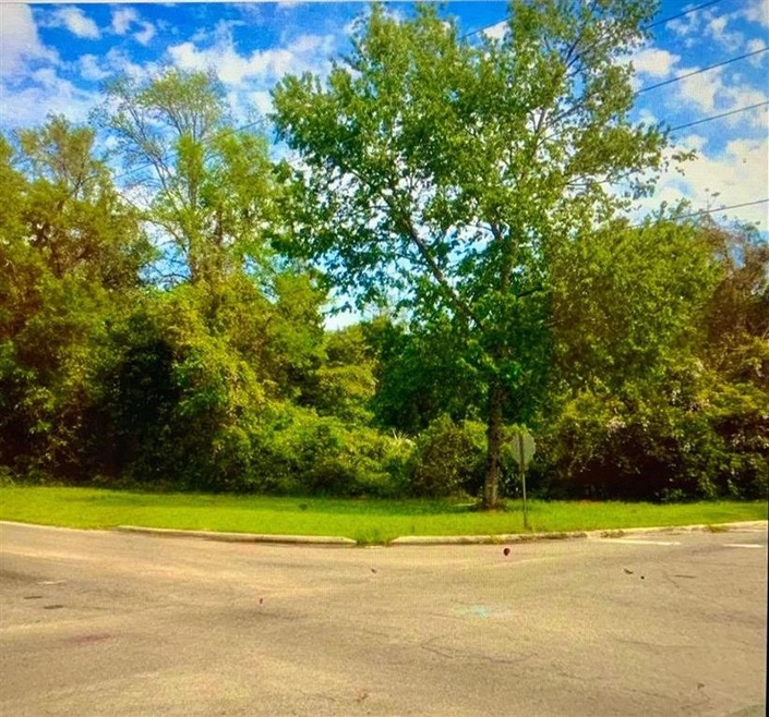 0 Trice Ln unit 339856, Crawfordville, FL 32327 - photo 1