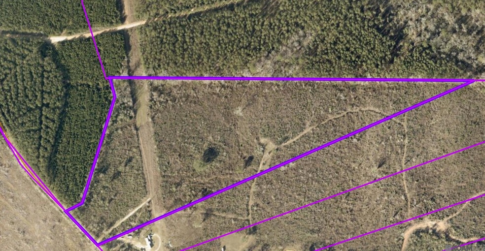 TBD-Tract 1 Gilead Rd, Clinton, LA 70722 - photo 1
