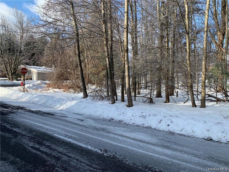 0 Floral Dr unit KEY940546, Thompson, NY 12701 - photo 1