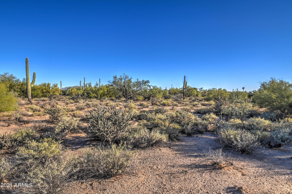Lot view