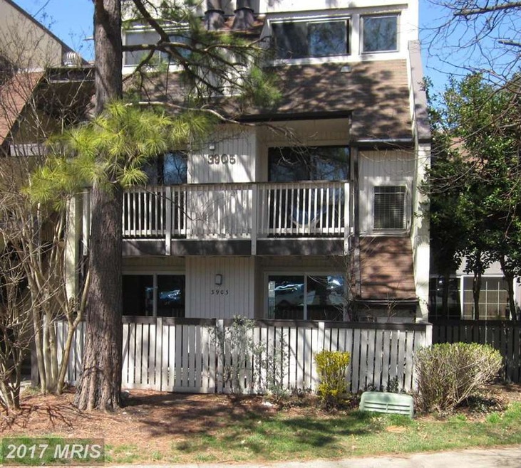 3903 El Camino Place unit 3903, Alexandria, VA 22309 - photo 1