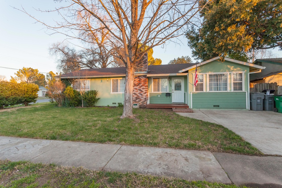 3238Begonia-MLS-1