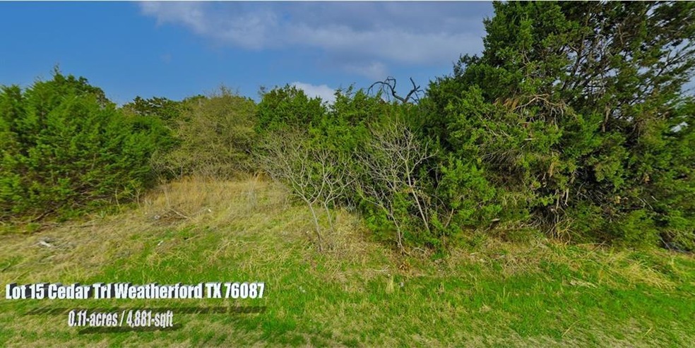 Lot 15 Cedar Trail, Weatherford, TX 76087 - photo 1