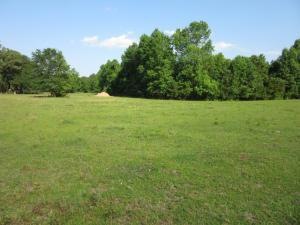 Oak Willie Vacant Land