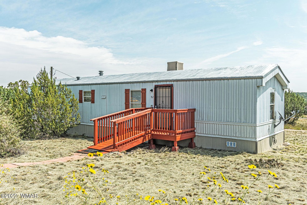 main picture