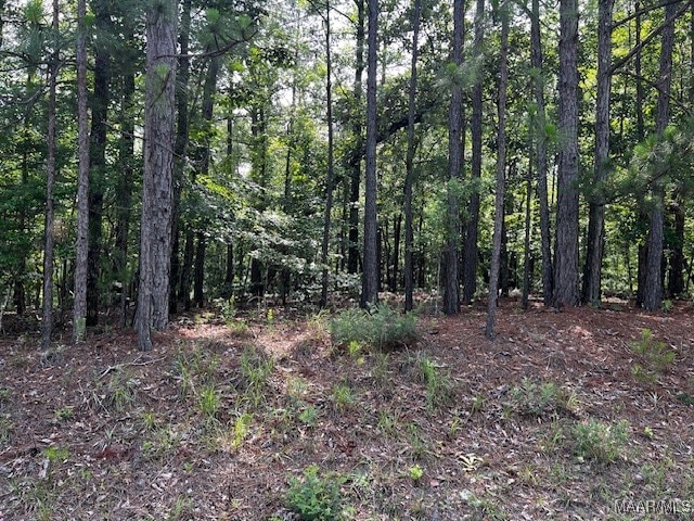 Beautiful, heavily wooded property
