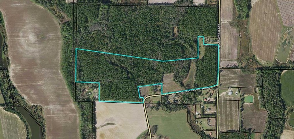 1793 Firetower Rd, Enigma, GA 31749 - photo 1