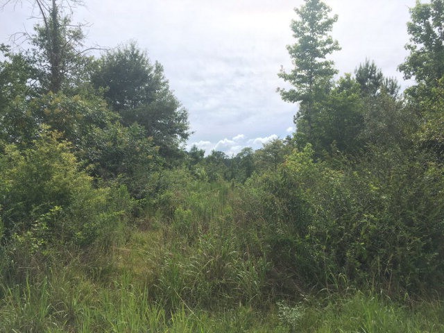 Tbd 60 Magee Hill Rd, Tylertown, MS 39667 - photo 1