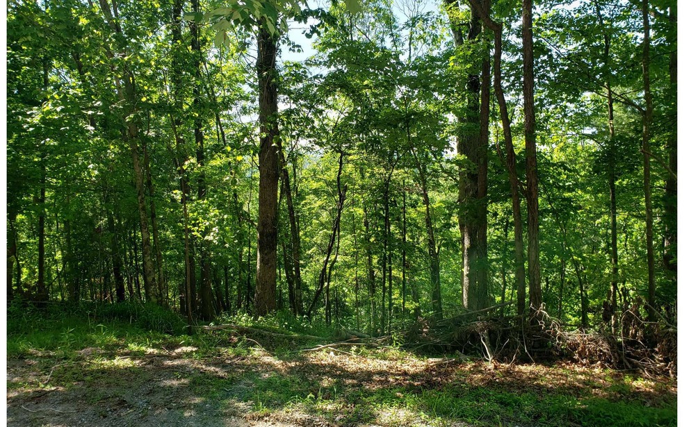 461 Cherokee Ct, Ellijay, GA 30540 - photo 1