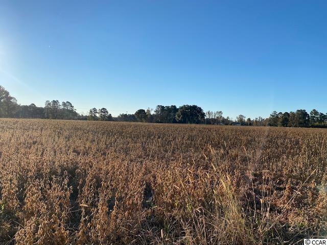 27.9 Acs Highway 65, Conway, SC 29526 - photo 1