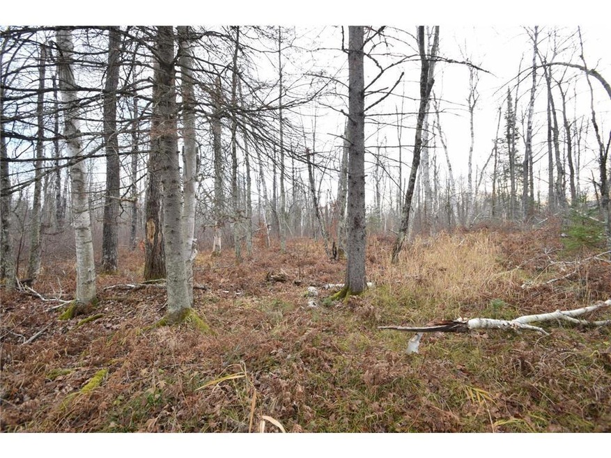 0 N Fire Lane Road Rd unit 6628433, Danbury, WI 54830 - photo 1