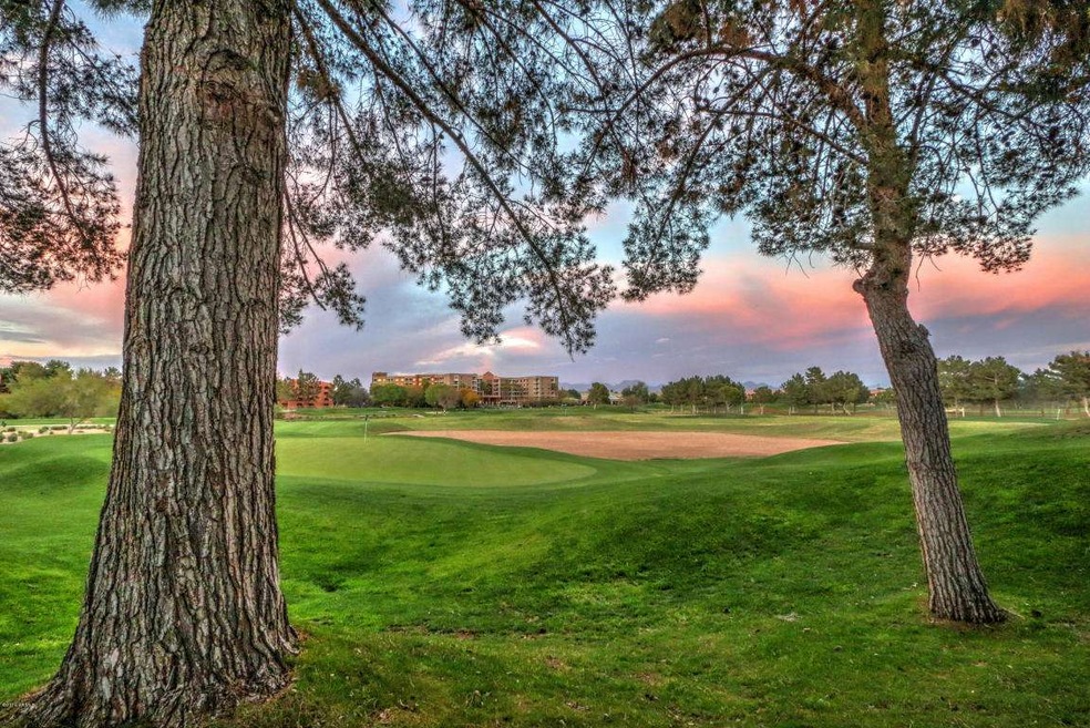 BACKYARD VIEW!