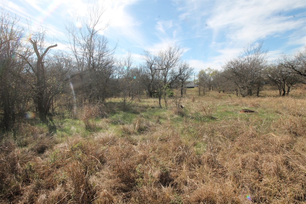 Lot 21 Cheyenne Dr, Bridgeport, TX 76426 - photo 1